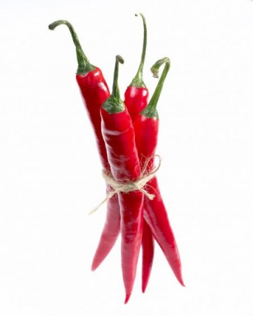Koreninova paprika